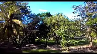 Tomzon D40 first flight in Jamaica