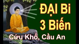 Đại Bi 3 Biến, cứu khổ cầu an #đaibi #kinhphat #loiphatday