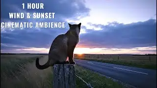 1 Hour Windy Sunset Ambience Mid-West America 🌅 Calming Wind & Nature Sounds for Sleep- Cinematic 4K