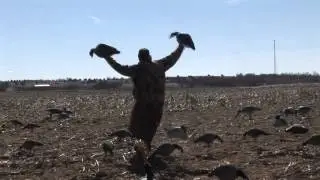 RDR Outdoors field test of the Okie Vortex decoy system