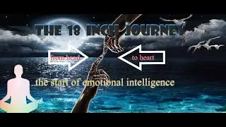 The 18 inch journey from head to heart