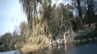 Мой Ангел