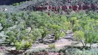 ZionNP Utah 2013 11