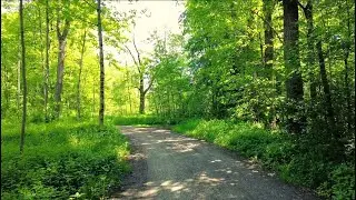 Just One Click to Relax &ndash; Soothing Music with Natural Soundscapes