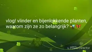 Vlog!! Bijen en vlinderlokkende planten!