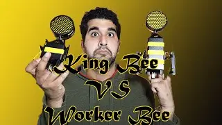 Neat King Bee VS Neat worker Bee| Neat Microphone Comparison