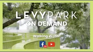 Levy Park On Demand: Walking Water