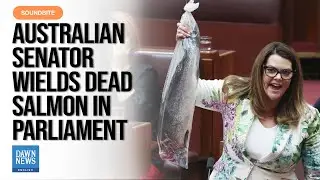 Australian Senator Wields Dead Salmon In Parliament To Protest Farming Laws | Dawn News English