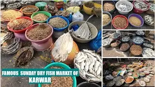 FAMOUS SUNDAY DRY FISH MARKET OF KARWAR | DEC'24 |