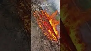 Close-up fire slow mo