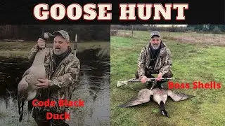 Washington Goose Hunt 2021, First goose of the season with ShotKam Footage!