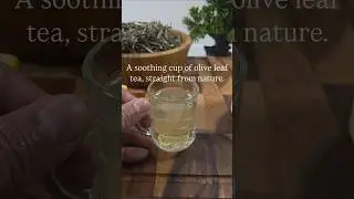 Olive leaf tea, naturally soothing #organic #food #viral #recipe #ytshorts