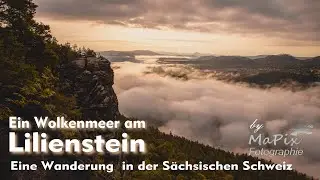 Ein Wolkenmeer am Lilienstein -  Eine Wanderung in der Sächsischen Schweiz