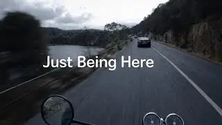 POV Motorcycle Ride | Royal Enfield Interceptor 650 | Paradise Gorge, Tasmania