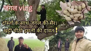 Village Life: Doston ke saath Jungle ki masti aur Imli ka swad!