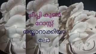 കൂൺ റോസ്റ്റ് തയ്യാറാക്കിയാലോ#chippy coon recipe #