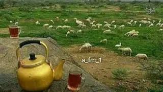 مزميرة ##