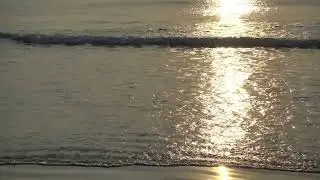 Motion Graphics Background Loop 4k- Sunset at the beach motion background-Background video animation