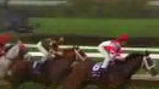 2007 Breeders' Cup Classic