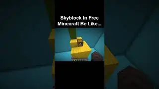 Skyblock In Free Minecraft Be Like...