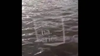 NEW BRAND Art. Cha. Series www.artchaseries.com