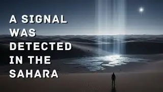 Sci-Fi Creepypasta | What No One Told Us About the Signal Detected in the Sahara