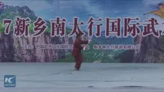 Chinese kung fu masters show their best skills in martial arts festival