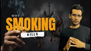 How Smoking Destroys Your Health &mdash; The Science Explained