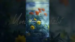 Anal Melae | Oru Siruvali | Female Love Status | Surya | Sha Editz