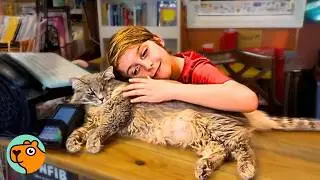 Cat Runs The Bookstore And Becomes Best Regional Manager | Cuddle Buddies