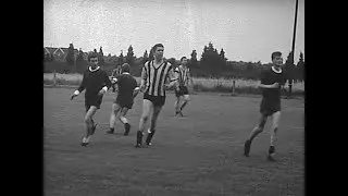 Heist-op-den-Berg / familie Bellens tegen het slachthuis in 1969
