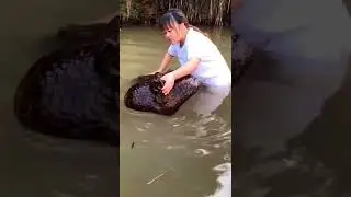 Amazing Hippo #shorts
