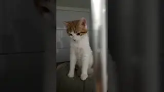 Лучший момент трансляции