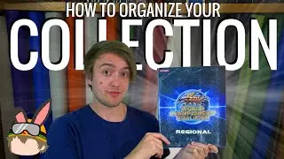 MY ENTIRE Yu-Gi-Oh! COLLECTION - HOW TO ORGANIZE - Pt. 1