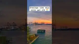 Golden Hour at Colombo Dockyard 🇱🇰🌇✨ #shorts #viralshort #foryou