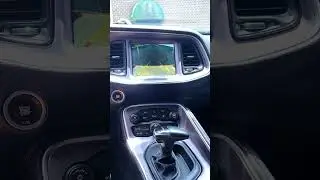 ASMR 2019 Dodge Challenger SXT