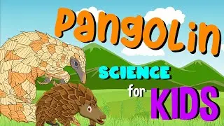 Pangolin | Science for Kids