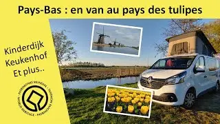 Les Pays-Bas 🚔 : Kinderdijk, keukenhof et la police 🚨 qui nous trouve en mode 