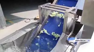 KT-WB680V Vortex Vegetable Washing Machine | Cauliflower & Choy Sum Cleaning