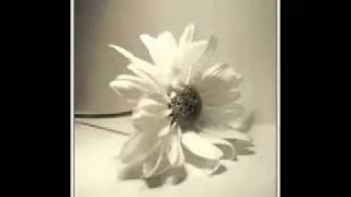 Wife beating in Islam By Shaykh Hamza Yusuf