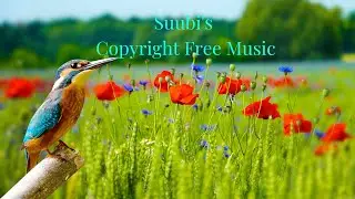Now (Burning) Suubi&rsquo;s Copyright Free Music | Attribution Free | Royalty Free | For Content Creators.