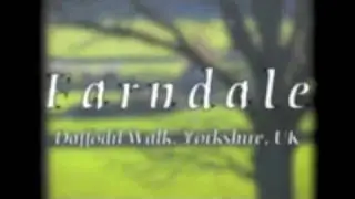 Farndale Daffodil Walk, Yorkshire, UK