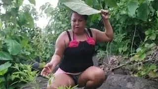 Atractiva lluvia