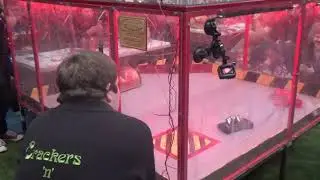 Grab Crab vs Dreadbin SS vs Toxin