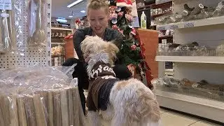 Lekker shoppen met je trouwe viervoeter