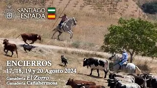 Encierros Santiago de la Espada 2024