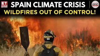 Spain Wildfire Emergency | Thousands Flee as Blaze Spreads in Galicia & Extremadura | World News