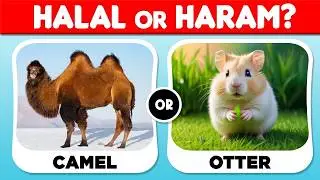 Halal or Haram Animal 🐄🐖 Islamic Quiz | Can You Guess Correctly?