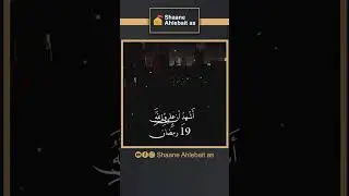 Shabe Zarbat e Ali as #19ramadan #zarabatealias #shahadat #imamalias #masaib