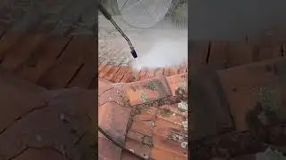 Satisfying Roof Cleaning #shorts  #holymessrepairs  #plumber  #youtubeshorts
